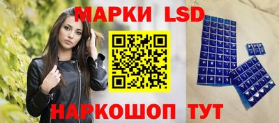 амф Камышлов
