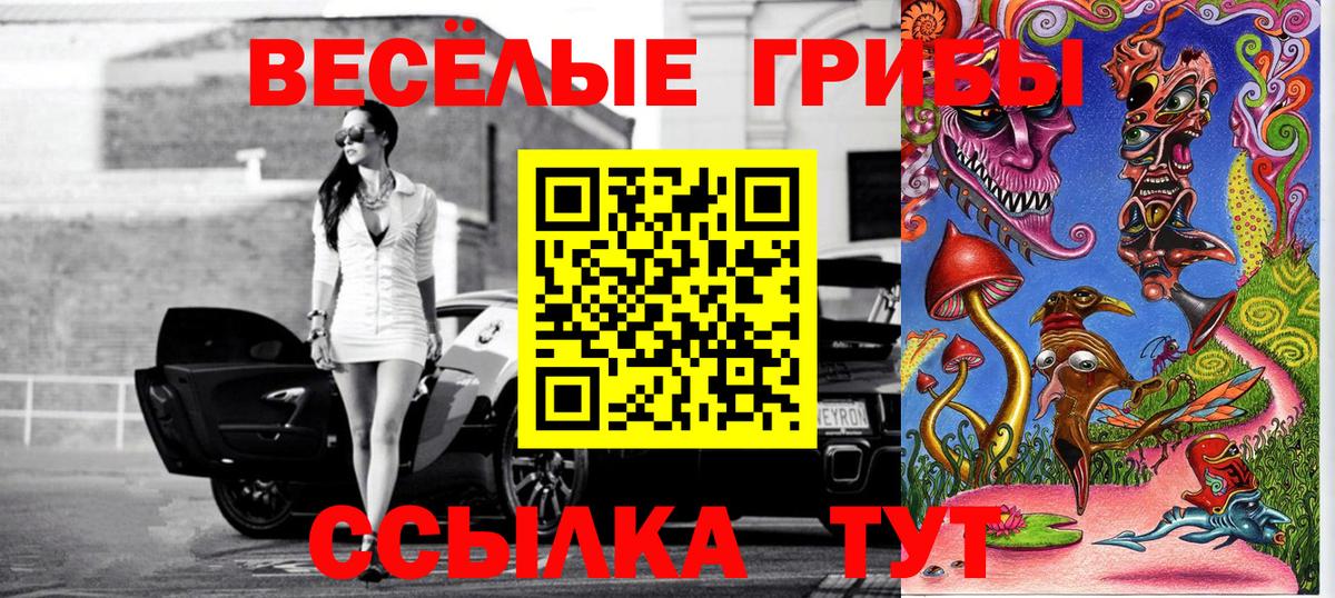 Кыштым  Псилоцибиновые грибы Cubensis  Псилоцибиновые грибы Cubensis  Вход с VPN 